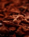Wosk kominkowy Aromma Tytoń i Miód wosk do kominków