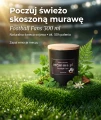 Świeca sojowa Football Fans świeżo ścięta trawa