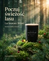 Świeca sojowa Aromma Las Sosnowy
